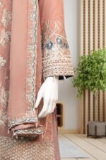 Embroidered Chiffon Suit ARG012 - Image 2