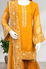 Embroidered Chiffon Gharara ARA001 - Image 2