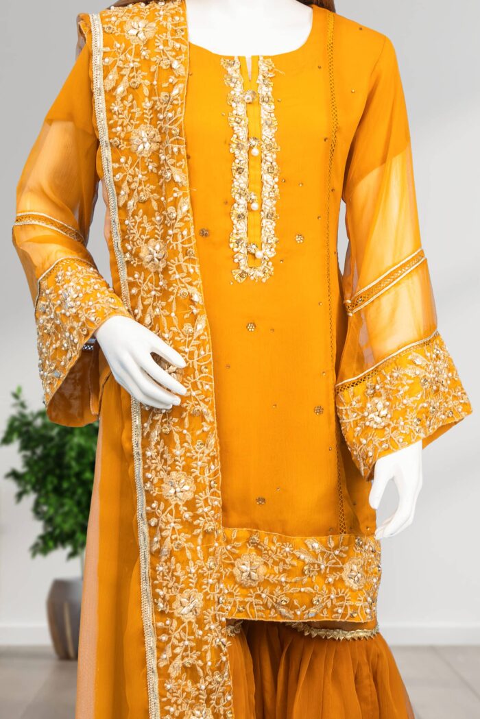 Embroidered Chiffon Gharara ARA001 - Image 2