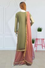 Chiffon Suit ARA013 - Image 3