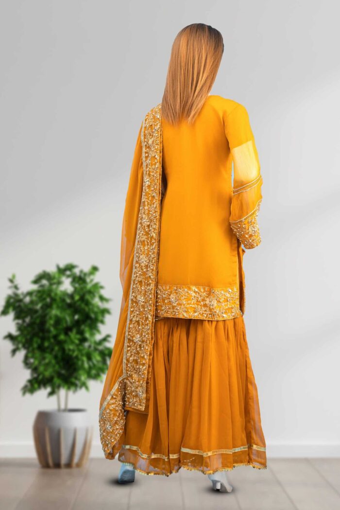 Embroidered Chiffon Gharara ARA001 - Image 3