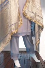 Luxury Chiffon Suit ARA016 - Image 4