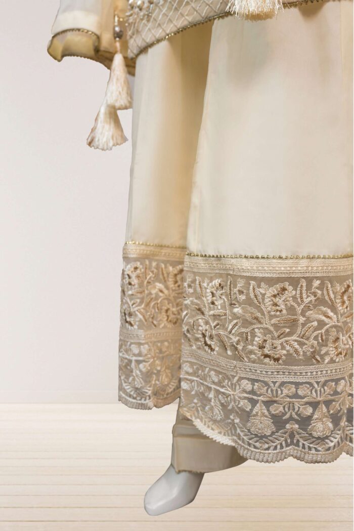 Embroidered Chiffon Suit ARG003 - Image 4