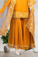 Embroidered Chiffon Gharara ARA001 - Image 4