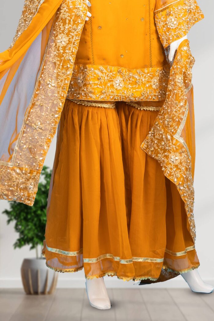 Embroidered Chiffon Gharara ARA001 - Image 4