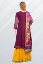 Embroidered Chiffon Sharara ARA002 - Image 3