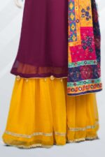 Embroidered Chiffon Sharara ARA002 - Image 4
