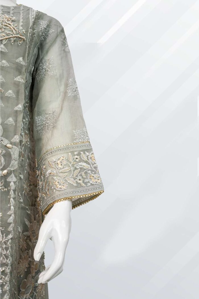 Embroidered Chiffon Suit - ARG001 - Image 3